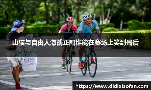山猫与自由人激战正酣谁能在赛场上笑到最后
